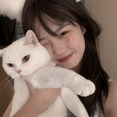 云之歌最新版下载